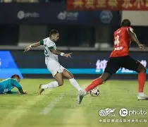 太平洋足够大容得下中美两国出处